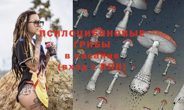 дживик Абинск