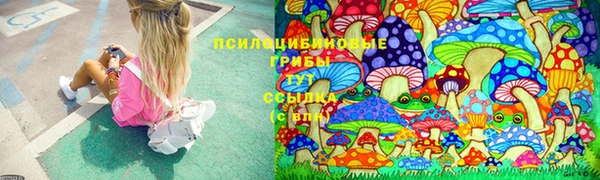 apvp Абаза