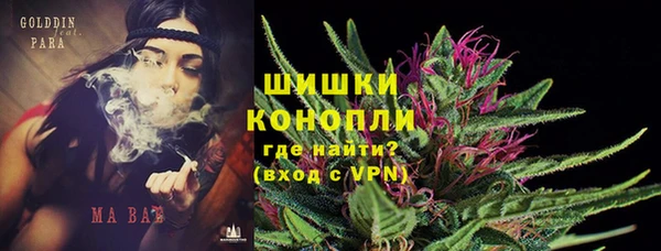дживик Абинск