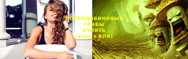 apvp Абаза