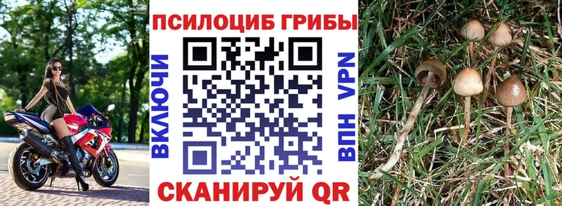 даркнет Telegram  как найти закладки  Электроугли  Галлюциногенные грибы ЛСД 